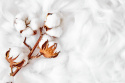 Kołdra naturalna całoroczna ecotton 160x200cm
