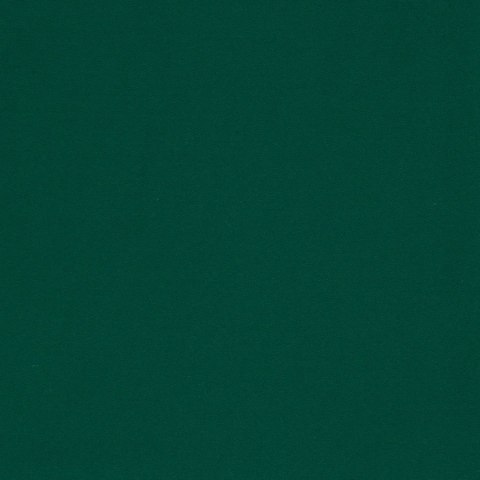 DONA Tkanina na zasłony dimout/blackout, wys.300cm, kolor ciemny zielony/butelkowy DONA00/TDP/010/000300/1 DONA Tkanina na zasłony dimout/blackout, wys.300cm, kolor ciemny zielony/butelkowy DONA00/TDP/010/000300/1