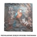 KOT FILEMON Poszewka dekoracyjna VELVET, 40x40cm, kolor P00146/POP/001/040040/1