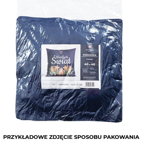 PIERNIKI Poduszka z wypełnieniem silikonowym dwustronna MICROFIBRA, 40x40cm, kolor biały TBN016/SIL/001/040040/1 PIERNIKI Poduszka z wypełnieniem silikonowym dwustronna MICROFIBRA, 40x40cm, kolor biały TBN016/SIL/001/040040/1