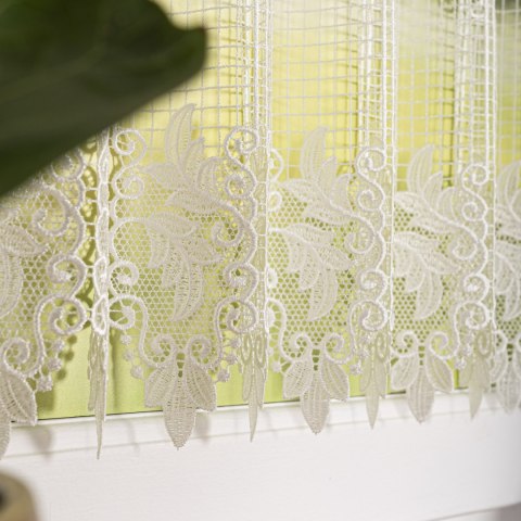 Zazdrostka gipiurowa, wys. 30cm, kolor 010 naturalny 016409/447/010/000030/1