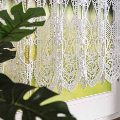 Zazdrostka gipiurowa, wys. 40cm, kolor biały 016451/447/001/000040/1