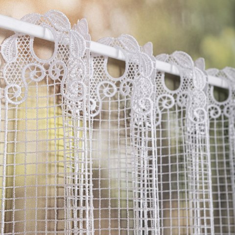 Zazdrostka gipiurowa, wys. 50cm, kolor biały 016409/447/001/000050/1