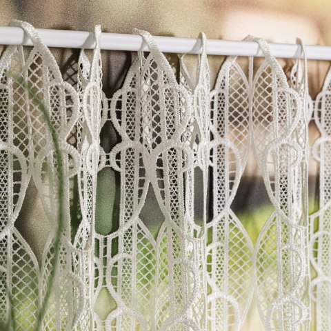 Zazdrostka gipiurowa, wys. 80cm, kolor 010 naturalny 016451/447/010/000080/1