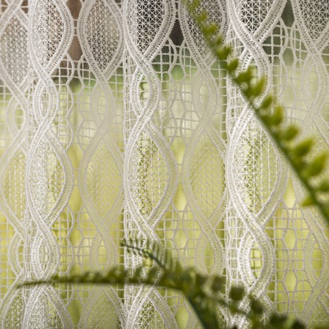 Zazdrostka gipiurowa, wys. 90cm, kolor 010 naturalny 016472/447/010/000090/1